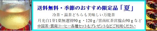 2023夏バナー