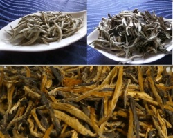 月光白＆雲南紅茶