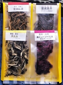 雲南お試し4種