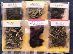 雲南お試し6種