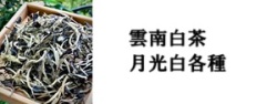 雲南白茶月光白バナー