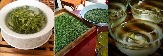 蒙頂山茶バナーjpg