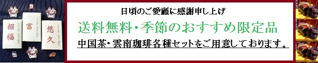 送料無料限定品